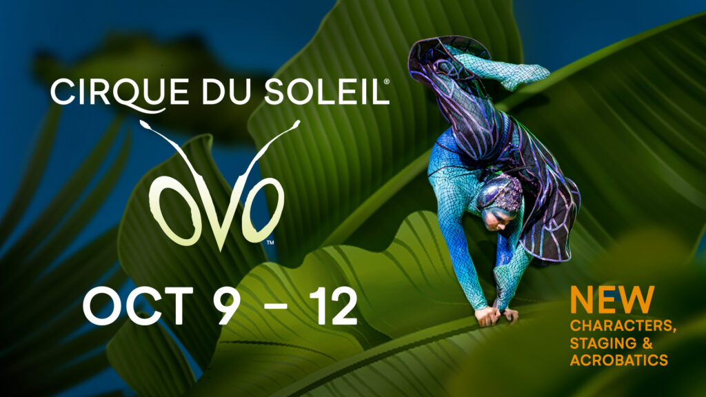 Cirque Du Soleil